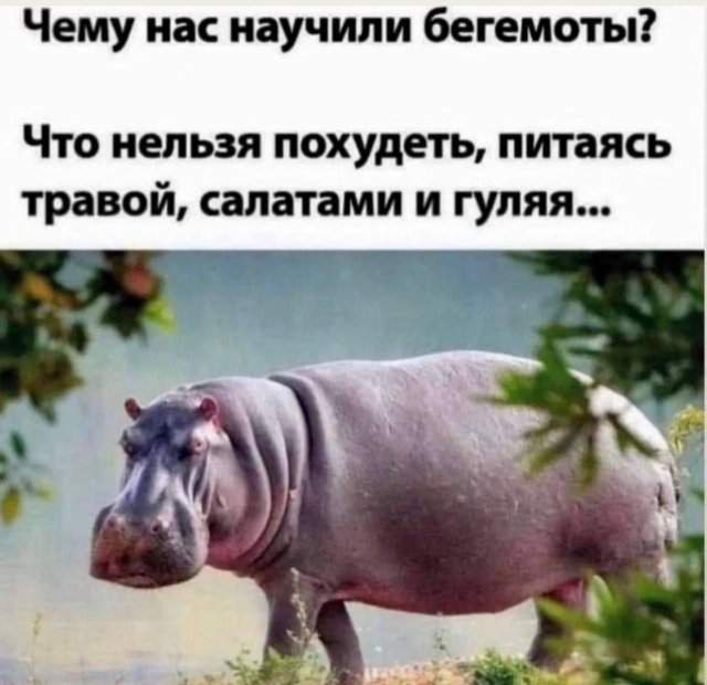 Смешные мемы - 15.09.2025 Смешные мемы - 15.09.2025