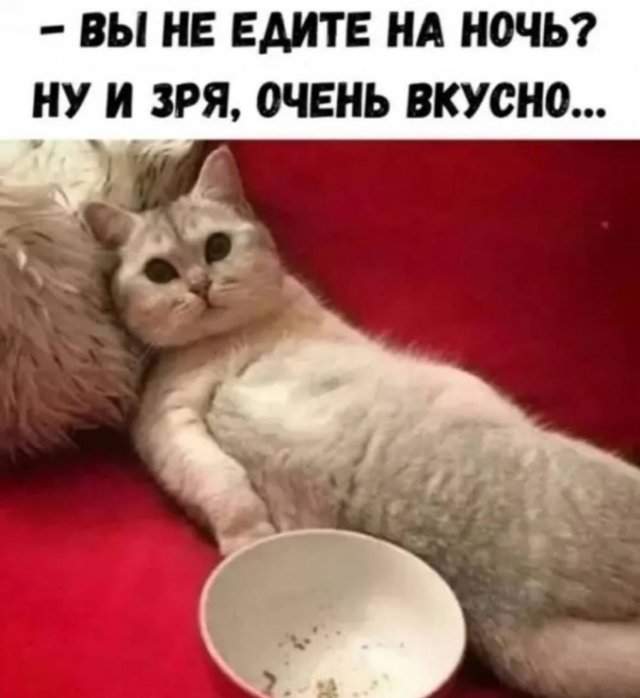 Смешные мемы - 15.09.2025 Смешные мемы - 15.09.2025