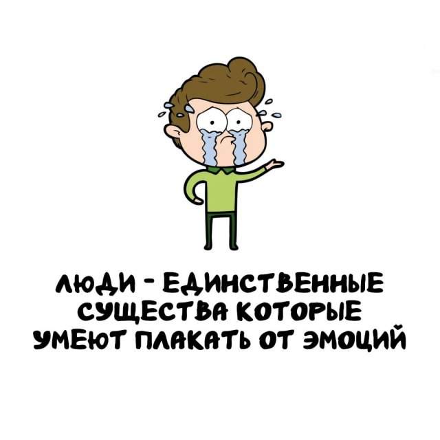 Интересные факты на все случаи жизни