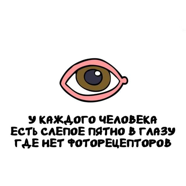 Интересные факты на все случаи жизни