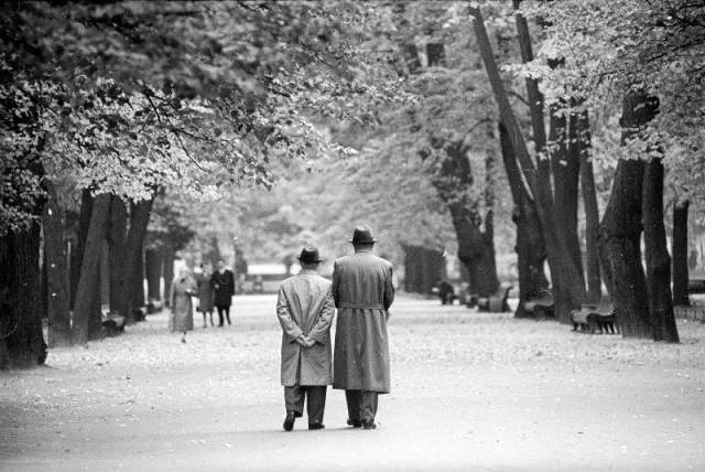 Летний сад, Ленинград, 1970-е.