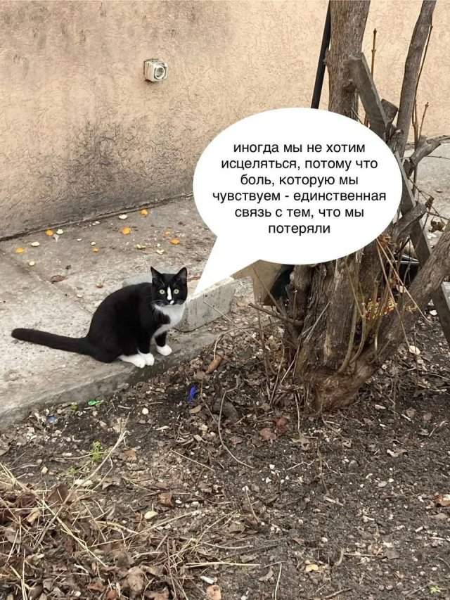 Смешные мемы - 18.09.2025