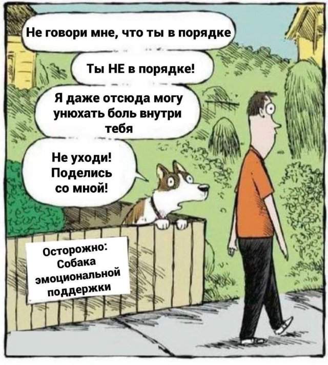 Смешные мемы - 18.09.2025