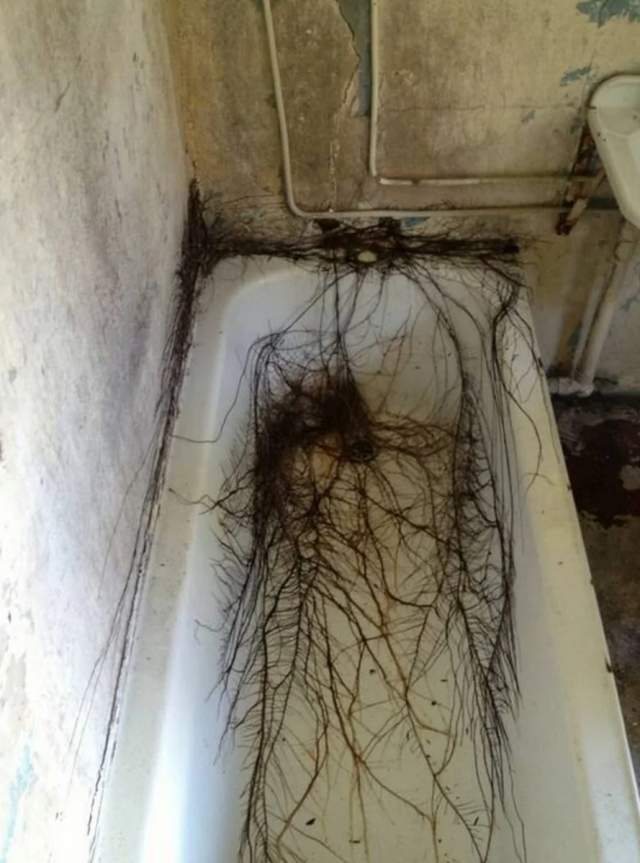 Упрямство и сила природы