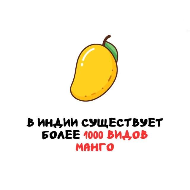 Интересные факты на все случаи жизни