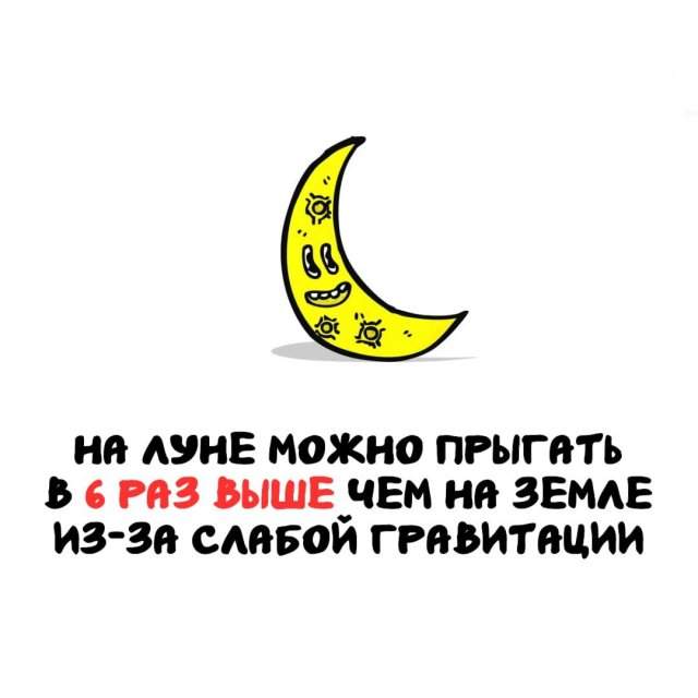 Интересные факты на все случаи жизни