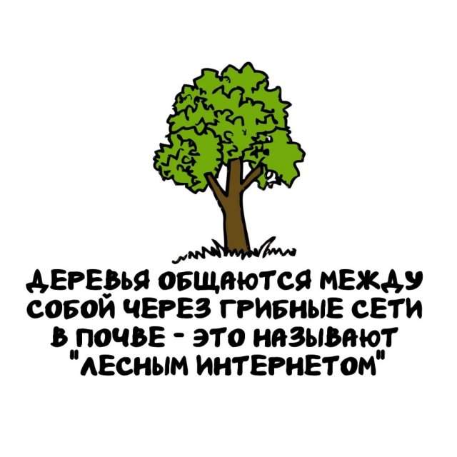 Интересные факты на все случаи жизни