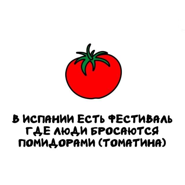 Интересные факты на все случаи жизни