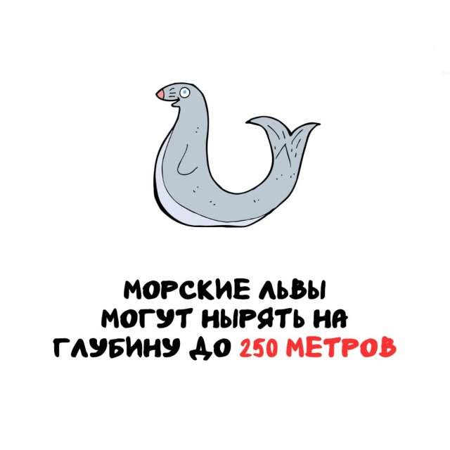 Интересные факты на все случаи жизни