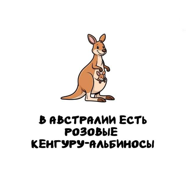 Интересные факты на все случаи жизни