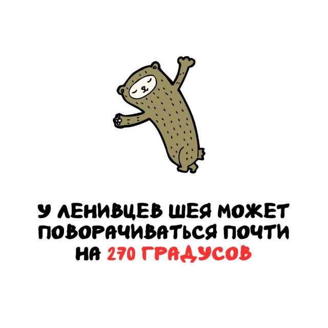 Интересные факты на все случаи жизни