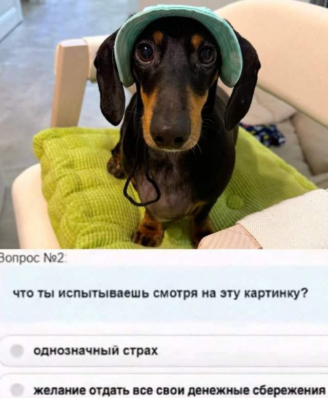 Смешные мемы - 22.09.2025