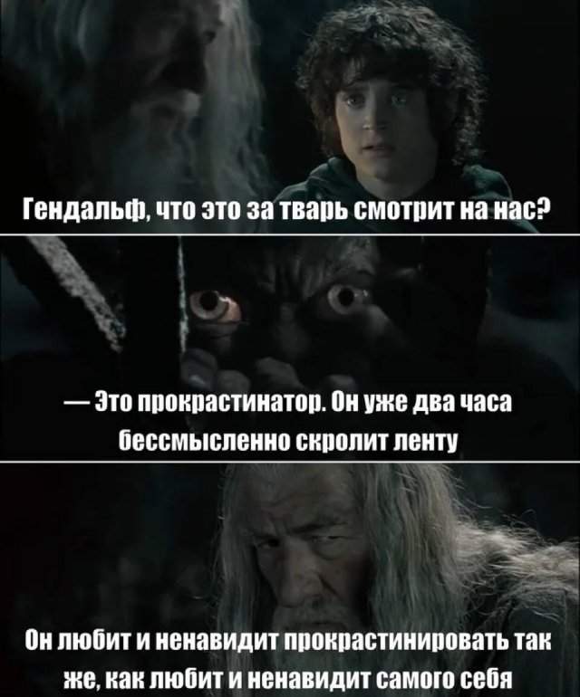 Смешные мемы - 22.09.2025
