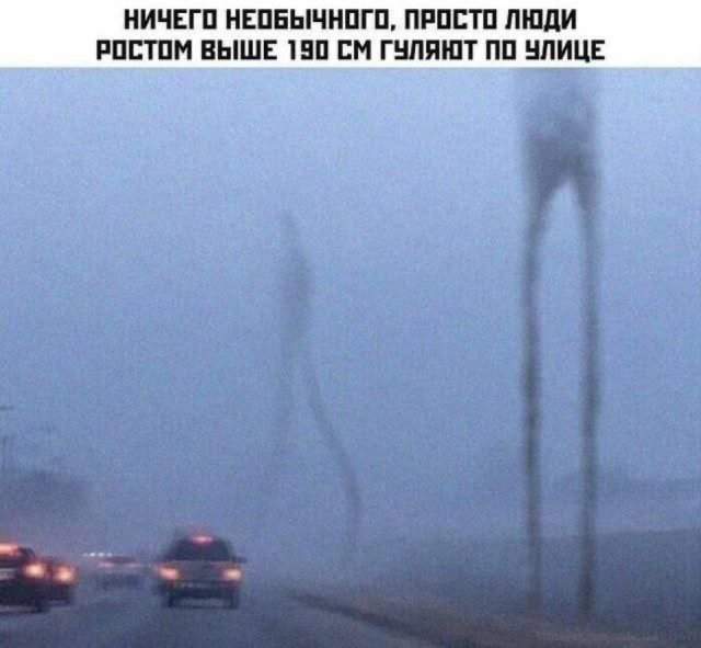 Смешные мемы - 22.09.2025