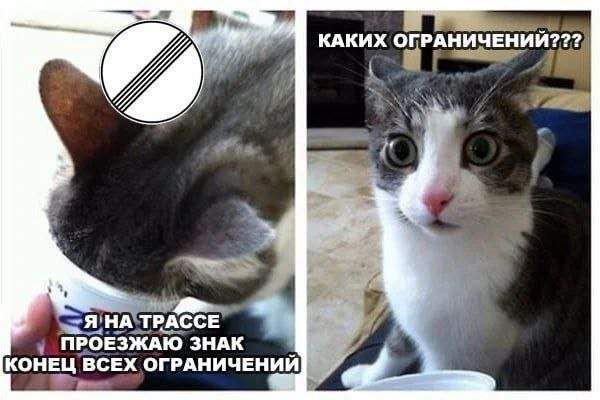 Смешные мемы - 23.09.2025 Смешные мемы - 23.09.2025