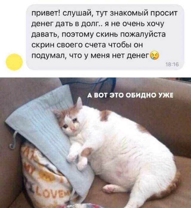 Смешные мемы - 23.09.2025 Смешные мемы - 23.09.2025