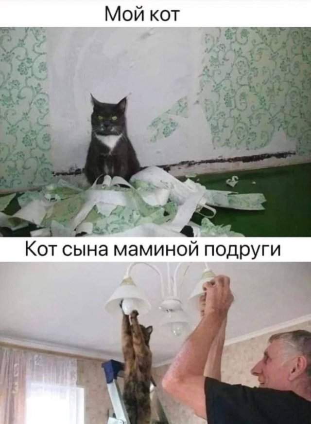 Смешные мемы - 23.09.2025 Смешные мемы - 23.09.2025