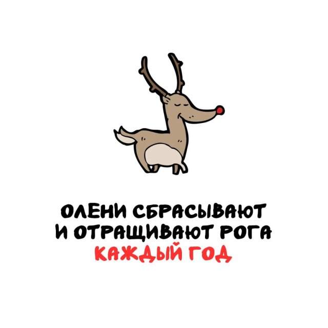 Интересные факты на все случаи жизни