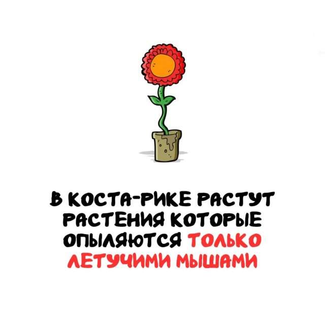 Интересные факты на все случаи жизни