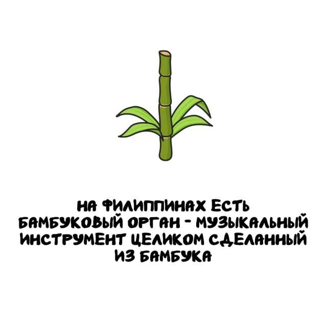 Интересные факты на все случаи жизни