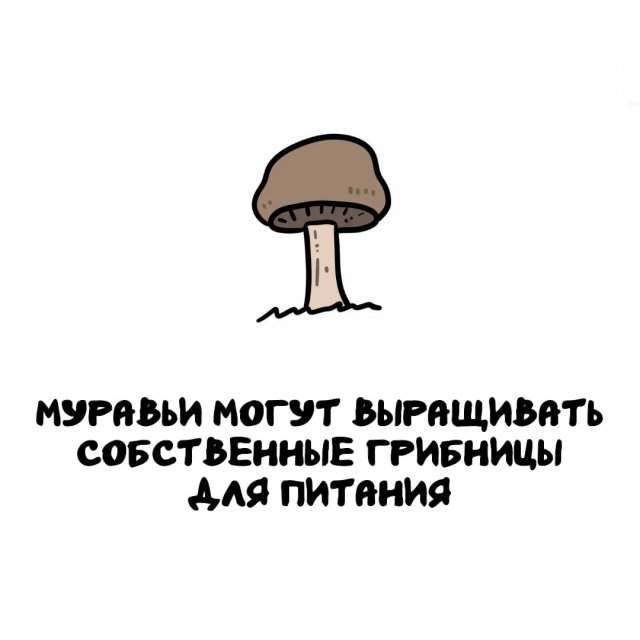 Интересные факты на все случаи жизни