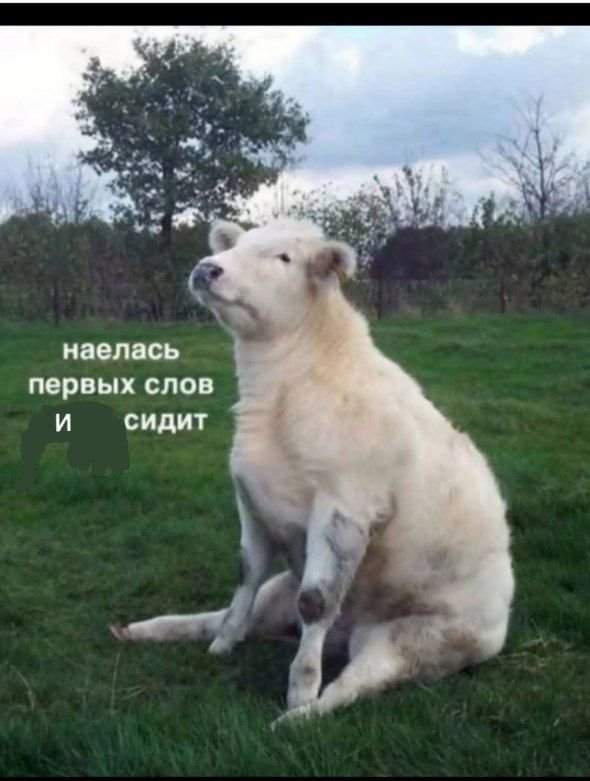Смешные картинки - 23.09.2025 Смешные картинки - 23.09.2025