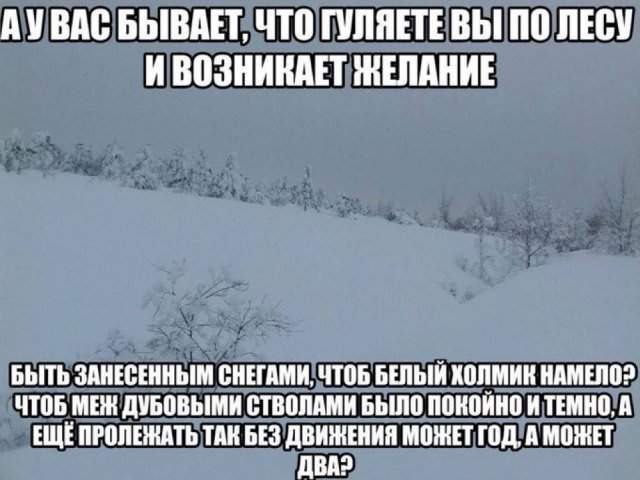 Смешные картинки - 23.09.2025 Смешные картинки - 23.09.2025