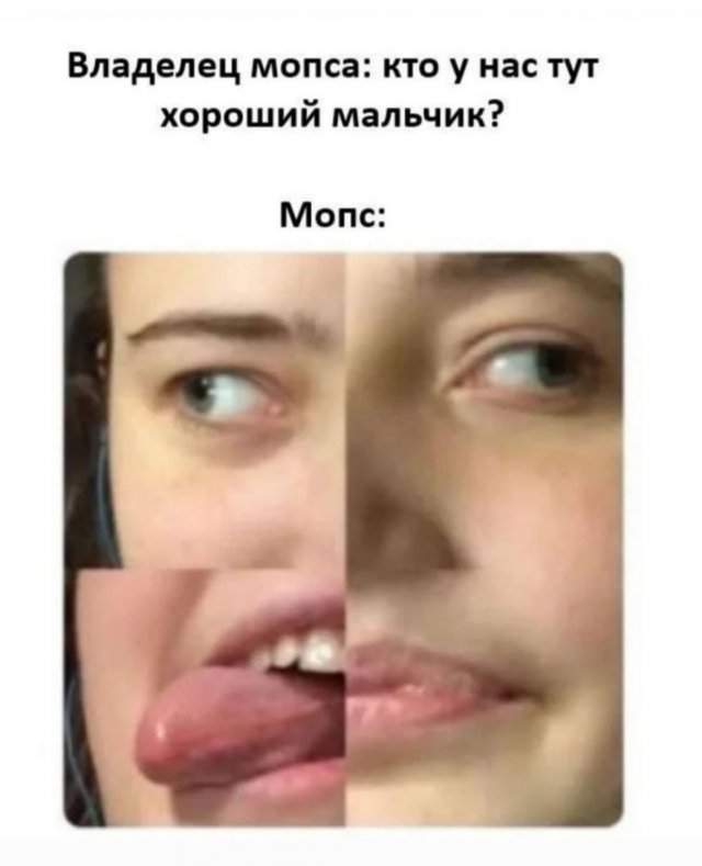 Смешные мемы - 24.09.2025