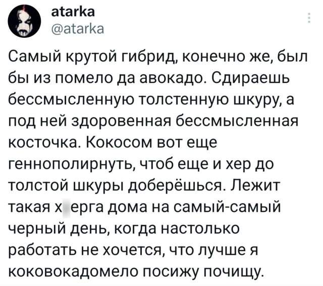 Подборка забавных твитов обо всем