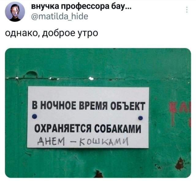 Подборка забавных твитов обо всем