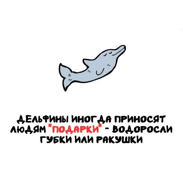 Интересные факты на все случаи жизни