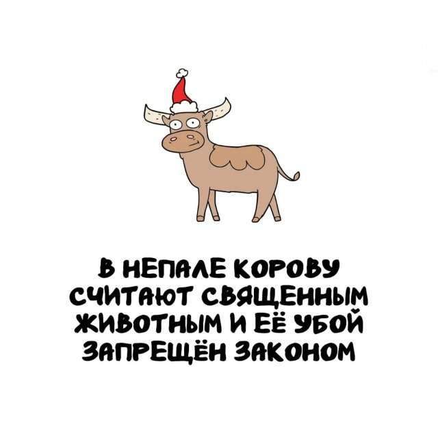 Интересные факты на все случаи жизни