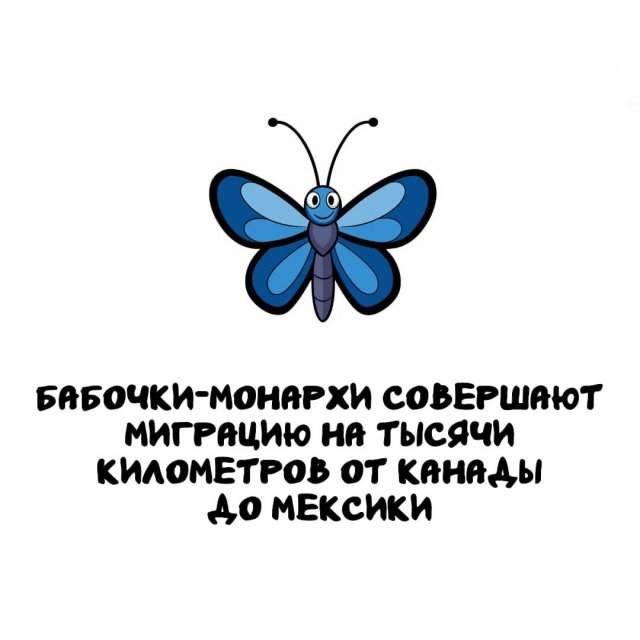 Интересные факты на все случаи жизни
