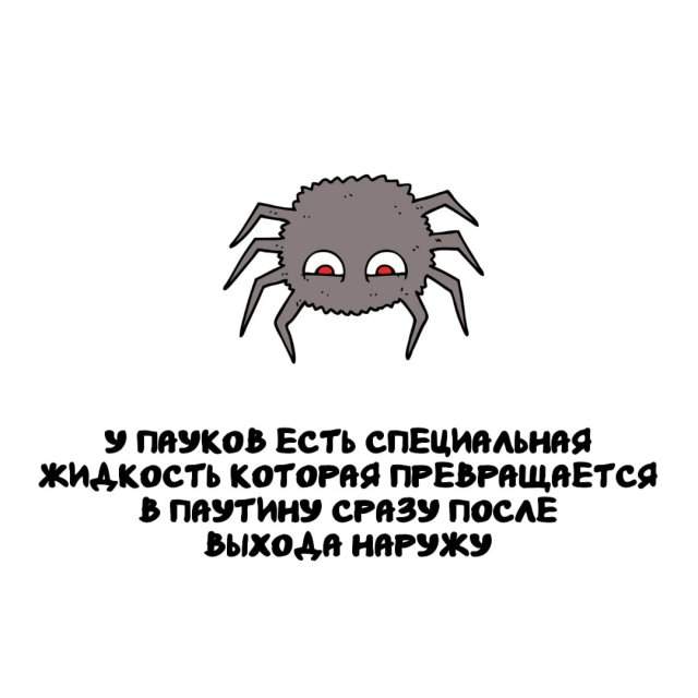 Интересные факты на все случаи жизни