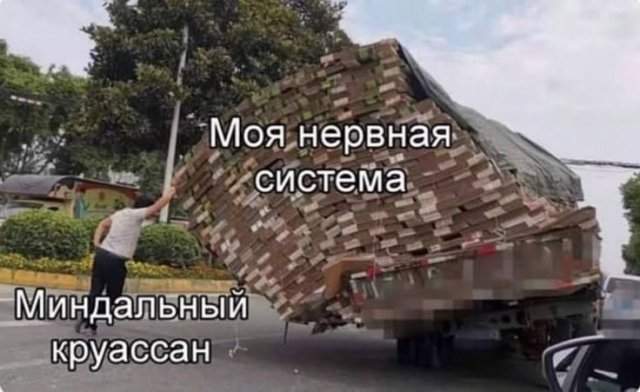 Лучшие шутки и мемы из Сети - 24.09.2025