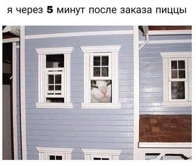 Лучшие шутки и мемы из Сети - 24.09.2025