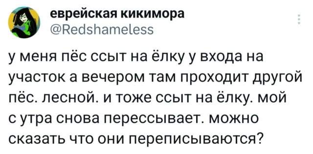 Подборка забавных твитов обо всем