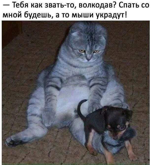 Лучшие картинки и мемы из Сети - 25.09.2025 Лучшие картинки и мемы из Сети - 25.09.2025
