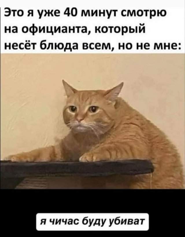 Лучшие картинки и мемы из Сети - 25.09.2025 Лучшие картинки и мемы из Сети - 25.09.2025