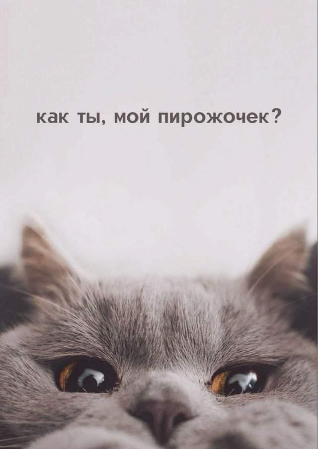 Лучшие картинки и мемы из Сети - 25.09.2025 Лучшие картинки и мемы из Сети - 25.09.2025