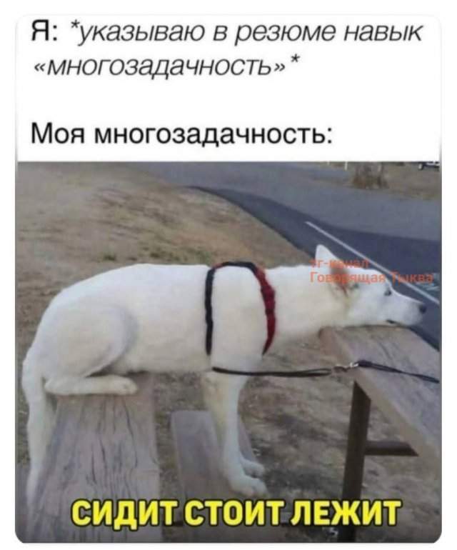 Лучшие картинки и мемы из Сети - 25.09.2025 Лучшие картинки и мемы из Сети - 25.09.2025
