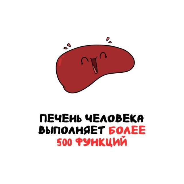Интересные факты на все случаи жизни