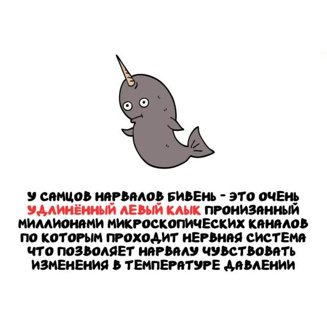 Интересные факты на все случаи жизни
