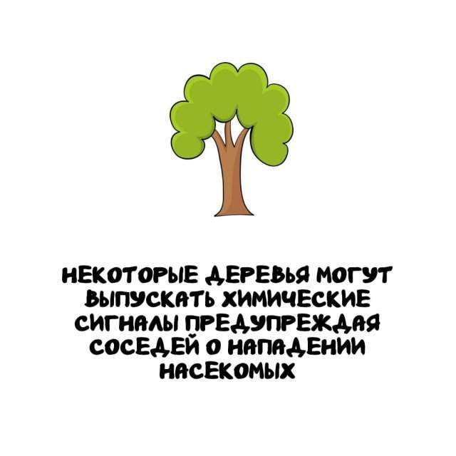 Интересные факты на все случаи жизни