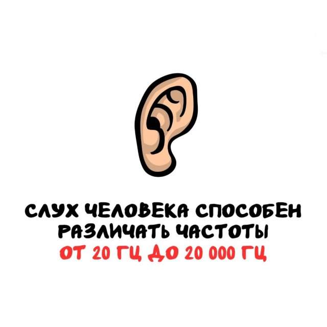 Интересные факты на все случаи жизни