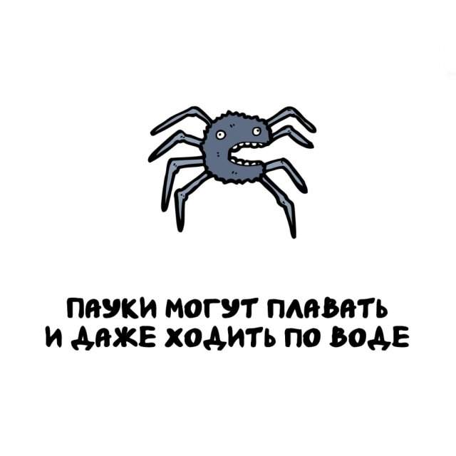 Интересные факты на все случаи жизни