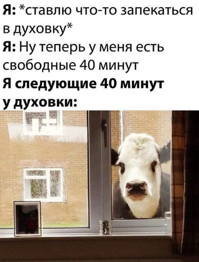 Смешные картинки - 26.09.2025