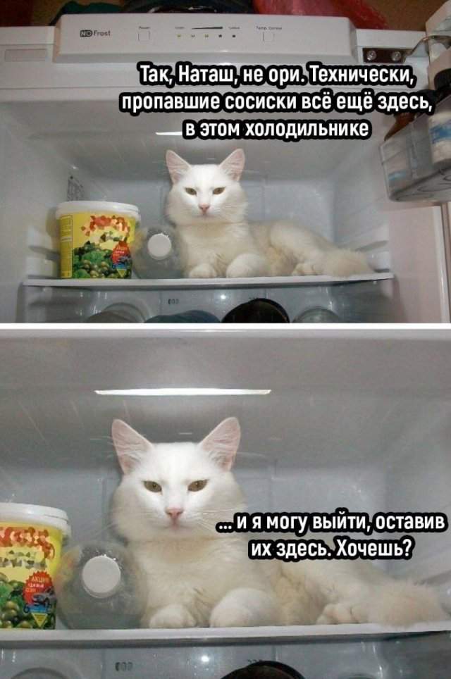 Смешные картинки - 26.09.2025