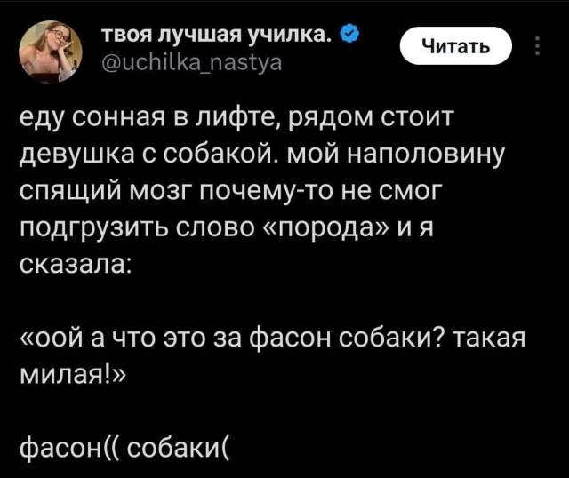 Подборка забавных каламбуров и лингвистических приколов с просторов соцсетей