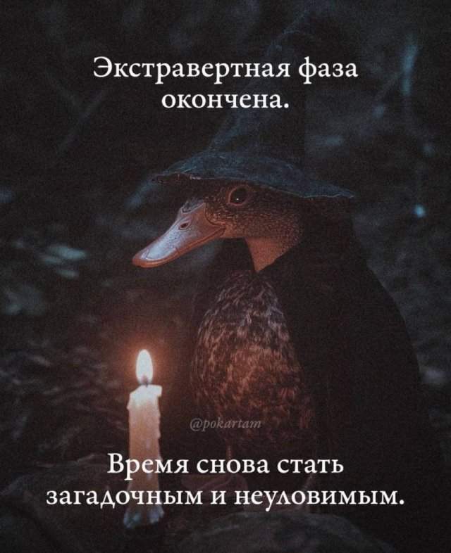 Лучшие шутки и мемы из Сети - 26.09.2025